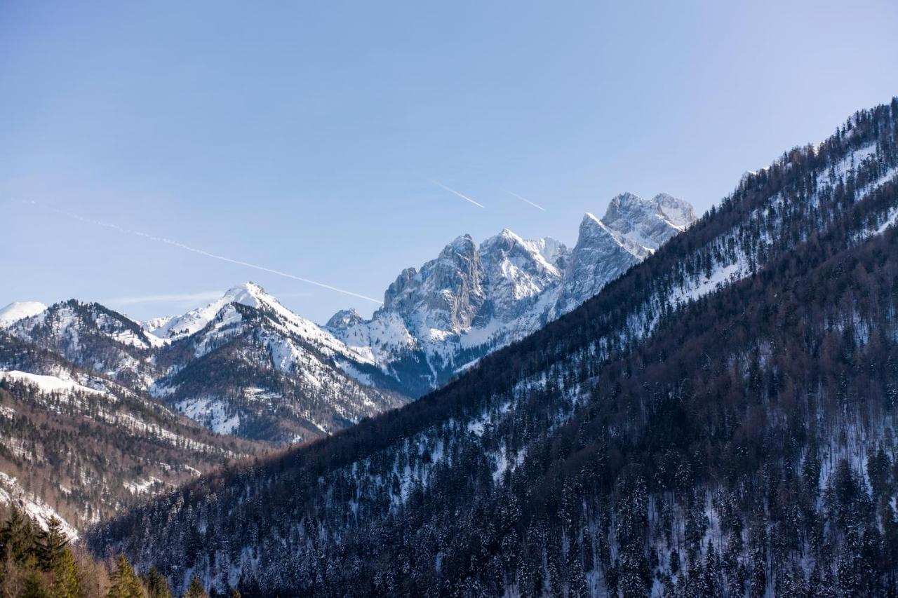 Berg'K'Hof Kaisertal - Alpine Hideaway Эббс Экстерьер фото